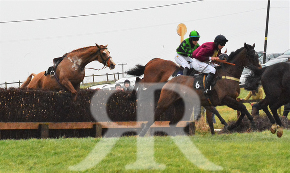 Woodland Pytchley Point to Point 2016 ( racecourse ) 077