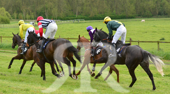 Fitzwilliam Hunt Point to Point . Racecourse images 041