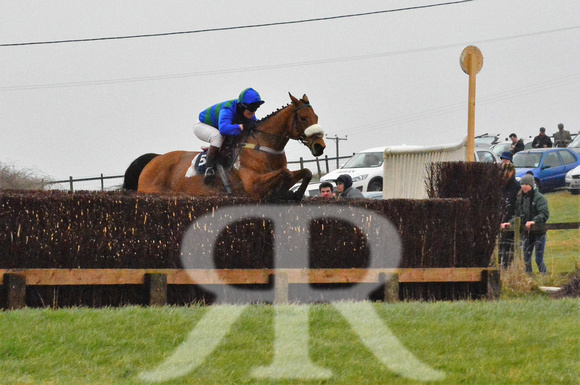 Woodland Pytchley Point to Point 2016 ( racecourse ) 073
