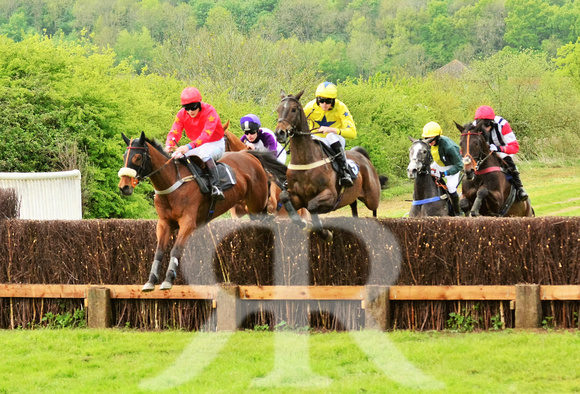 Fitzwilliam Hunt Point to Point . Racecourse images 035