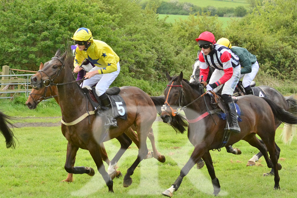 Fitzwilliam Hunt Point to Point . Racecourse images 037