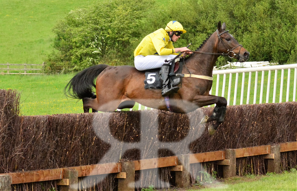 Fitzwilliam Hunt Point to Point . Racecourse images 042
