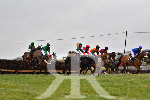 Woodland Pytchley Point to Point 2016 ( racecourse ) 068