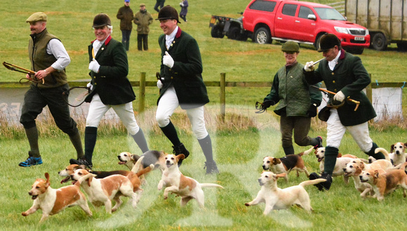 Woodland Pytchley Point to Point 2016 ( racecourse ) 036