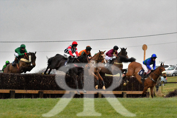 Woodland Pytchley Point to Point 2016 ( racecourse ) 067