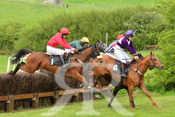 Fitzwilliam Hunt Point to Point . Racecourse images 046