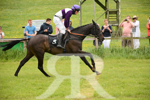 Fitzwilliam Hunt Point to Point 2017 017