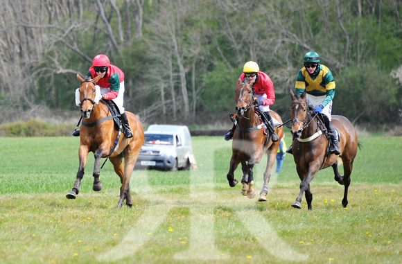 Ferine & Fitzwilliam Point to Point 2021 Back straight images ! 058