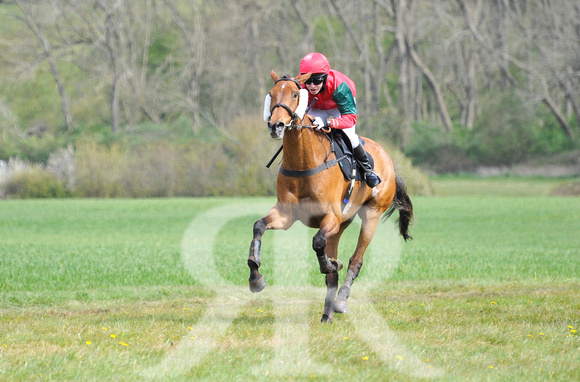 Ferine & Fitzwilliam Point to Point 2021 Back straight images ! 061