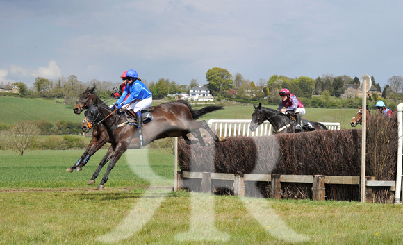 Ferine & Fitzwilliam Point to Point 2021 Back straight images ! 078