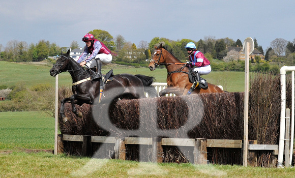 Ferine & Fitzwilliam Point to Point 2021 Back straight images ! 080