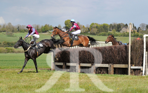 Ferine & Fitzwilliam Point to Point 2021 Back straight images ! 082