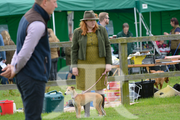 The Woodland & Pytchley Lurcher and Terrier Show 2017 012