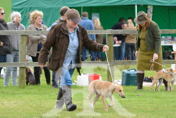 The Woodland & Pytchley Lurcher and Terrier Show 2017 014
