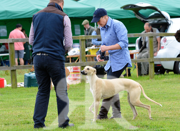 The Woodland & Pytchley Lurcher and Terrier Show 2017 020