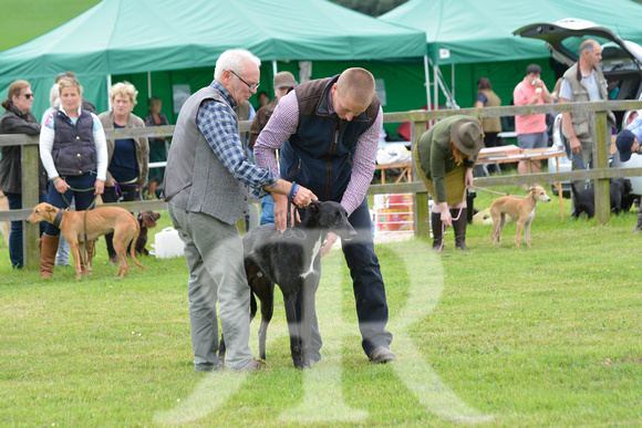 The Woodland & Pytchley Lurcher and Terrier Show 2017 024