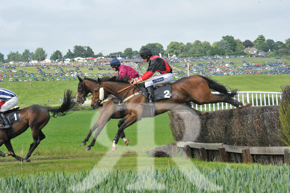 Woodland Pytchley Point to Point 2018 027