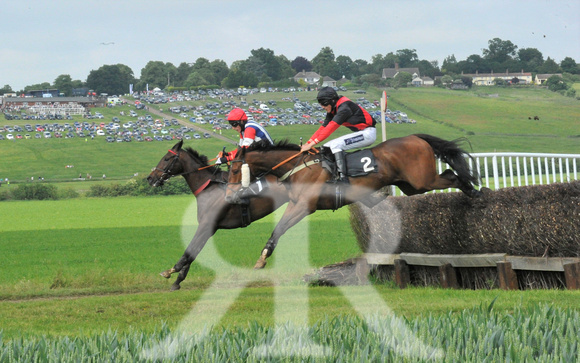 Woodland Pytchley Point to Point 2018 039