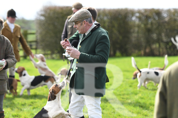 The Christchurch and Farley Hill Beagles with the Westerby Bassetts at Limepits farm Illston . 016