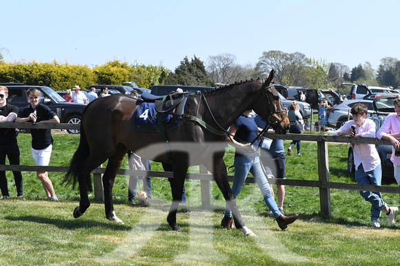 The Woodland Pytchley Point to Point 2019  Winners enclosure 044