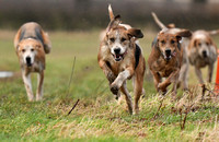 Cambridge Drag Hounds at Mill Farm Marston Trussell 2022 447