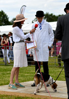 Peterborough Hound Show 2024 266