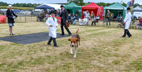 Blaston Hound show Winners & Young Handlers 2024 177