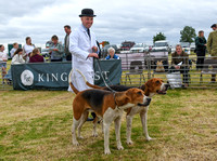 Blaston Hound show Winners & Young Handlers 2024 035