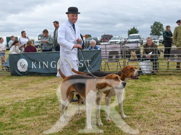 Blaston Hound show Winners & Young Handlers 2024 035