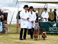 Blaston Hound Show 2024 005