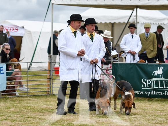 Blaston Hound Show 2024 005