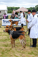 Blaston Hound show Winners & Young Handlers 2024 025