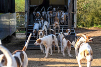 Fernie at Knights Farm 2024