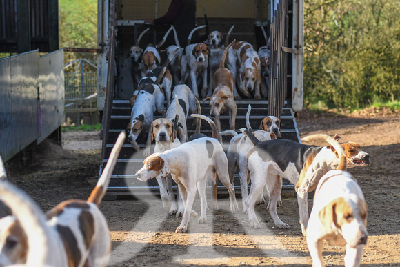 Fernie at Knights Farm 2024 019