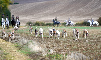 The Fernie Autumn Hound Training 2024 at Neville Holt & Laughton .