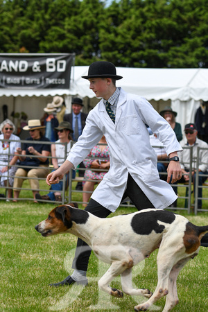 Peterborough Hound Show 2024 297