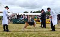 Blaston Hound show Winners & Young Handlers 2024 020