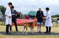 Blaston Hound show Winners & Young Handlers 2024 160