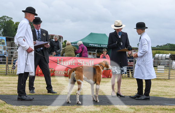 Blaston Hound show Winners & Young Handlers 2024 160