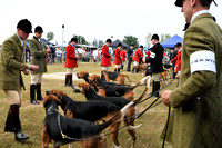 Peterborough Festival of Hunting 2022 039