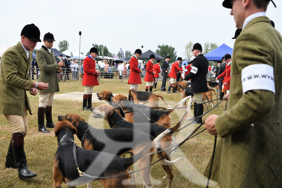 Peterborough Festival of Hunting 2022 039