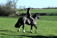 Fernie at Shangton Holt 2020 006