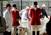 Peterborough Festival of Hunting 2022 026