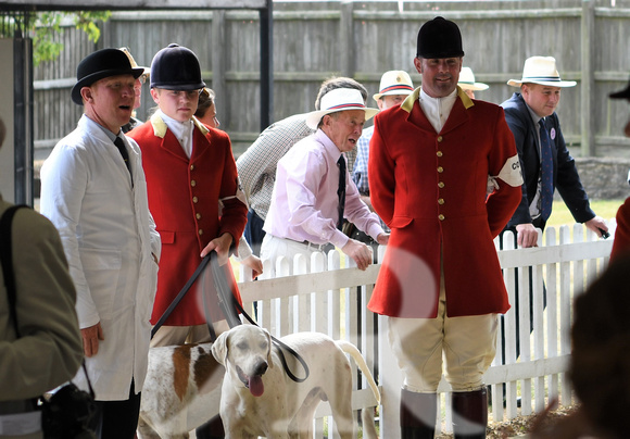 Peterborough Festival of Hunting 2022 026