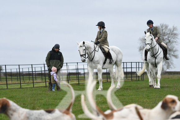 Fernie at Shangton Holt 2023 007