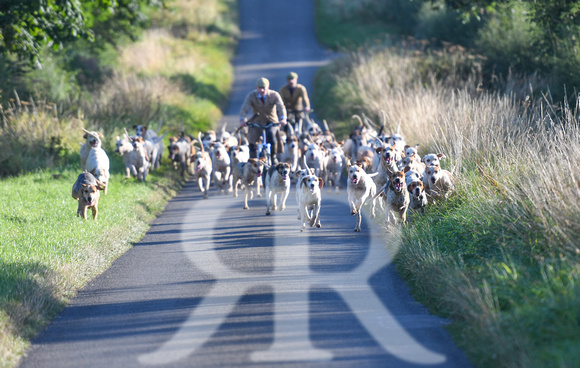 Fernie Hound Exercise 2024 085