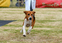 Blaston Hound Show 2024 015