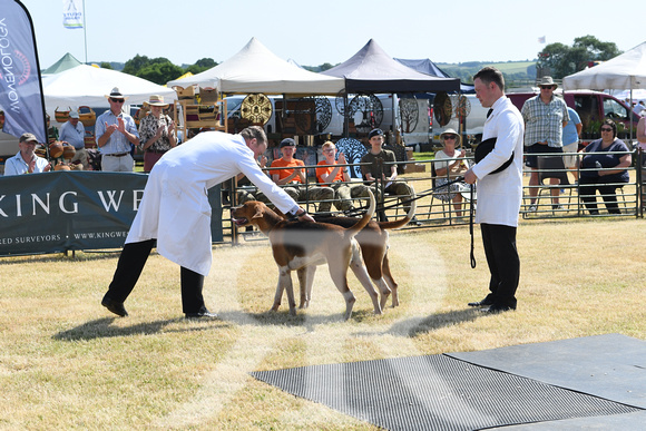 The Blaston Hound Show 2023 WINNERS 014