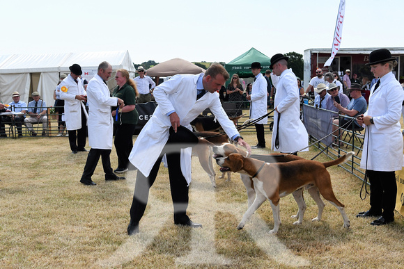 The Blaston Hound Show 2023 WINNERS 048