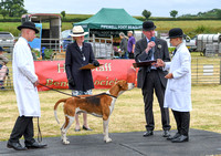 Blaston Hound show Winners & Young Handlers 2024 162